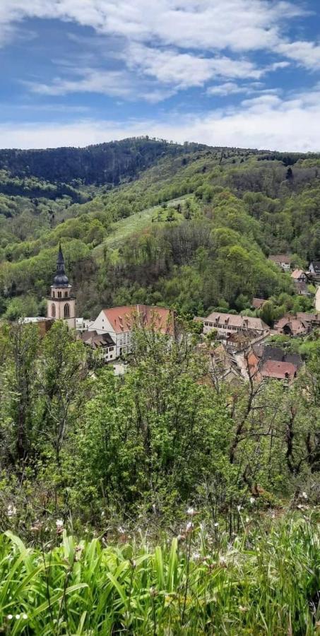 Gite A Andlau Luaran gambar